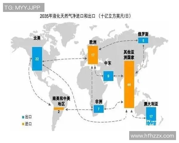 深入分析LNG市场的防反策略与应对措施探讨实时新闻 深入分析LNG市场的防反策略与应对措施探讨实时新闻
